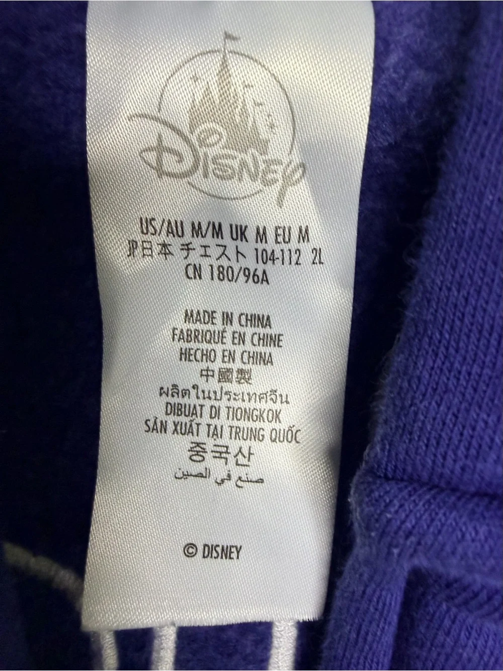 Disney Parks Walt Disney World 1971 Spellout Zip Hoodie Blue Adult Medium
